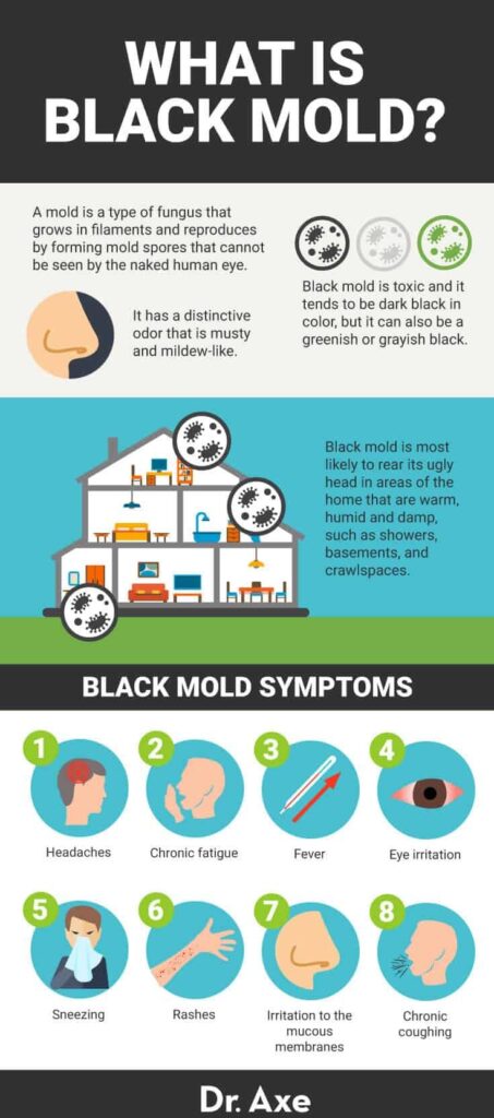 10 Warning Signs of Mold Toxicity: What You Need to Know